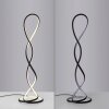 Illuminazione Paul Neuhaus TWIST Lampada da terra LED Nero, 1-Luce