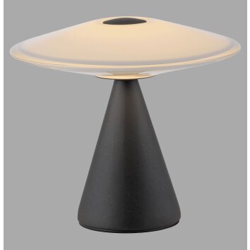 Illuminazione Paul Neuhaus ELIPSA Lampada da tavolo LED Nero, 1-Luce
