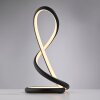 Illuminazione Paul Neuhaus TWIST Lampada da tavolo LED Nero, 1-Luce