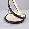Illuminazione Paul Neuhaus TWIST Lampada da tavolo LED Nero, 1-Luce