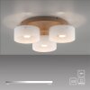 Illuminazione Paul Neuhaus MARIKA Plafoniera LED Sabbia, 3-Luci