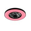 Illuminazione Reality mit Lampada con ventilatore LED Nero, 2-Luci, Telecomando, Cambia colore