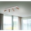 Illuminazione Trio Leuchten Ambala Faretto da soffitto LED Marrone, 4-Luci