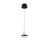 Illuminazione Trio Leuchten Dios Lampada a sospensione LED Nero, 1-Luce