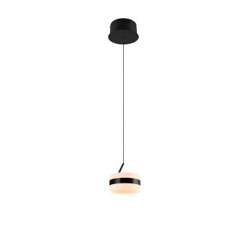 Illuminazione Trio Leuchten Dios Lampada a sospensione LED Nero, 1-Luce