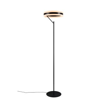 Illuminazione Trio Leuchten Dios Lampada da terra LED Nero, 1-Luce