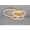 Illuminazione Trio Leuchten Drake Plafoniera LED Oro, 1-Luce, Telecomando