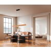 Illuminazione Trio Leuchten EDGEWOOD Lampada a sospensione LED Legno chiaro, 1-Luce