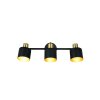 Illuminazione Trio Leuchten Eva Faretto da soffitto Nero-Oro, 3-Luci