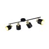 Illuminazione Trio Leuchten Eva Faretto da soffitto Nero-Oro, 4-Luci