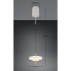 Illuminazione Trio Leuchten KEATON Lampada a sospensione LED Grigio, 1-Luce