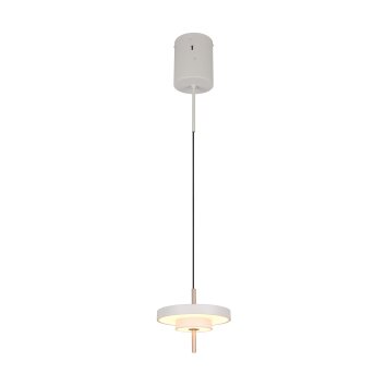 Illuminazione Trio Leuchten KEATON Lampada a sospensione LED Grigio, 1-Luce