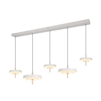 Illuminazione Trio Leuchten KEATON Lampada a sospensione LED Grigio, 1-Luce