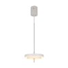 Illuminazione Trio Leuchten KEATON Lampada a sospensione LED Grigio, 1-Luce