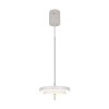 Illuminazione Trio Leuchten KEATON Lampada a sospensione LED Grigio, 1-Luce