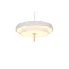 Illuminazione Trio Leuchten KEATON Lampada a sospensione LED Grigio, 1-Luce