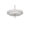 Illuminazione Trio Leuchten KEATON Lampada a sospensione LED Grigio, 1-Luce