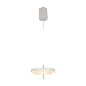 Illuminazione Trio Leuchten KEATON Lampada a sospensione LED Grigio, 1-Luce