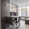 Illuminazione Trio Leuchten KEATON Lampada a sospensione LED Nero-Oro, 1-Luce