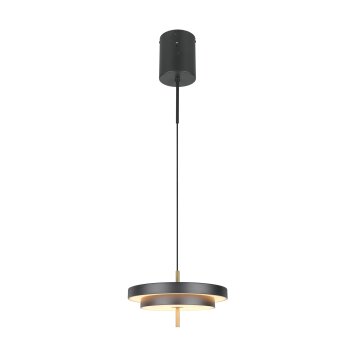 Illuminazione Trio Leuchten KEATON Lampada a sospensione LED Nero-Oro, 1-Luce