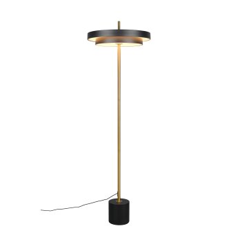 Illuminazione Trio Leuchten KEATON Lampada da terra LED Nero-Oro, 1-Luce