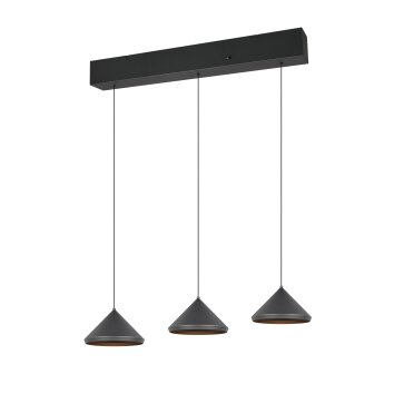 Illuminazione Trio Leuchten Laguna Lampada a sospensione LED Nero, 3-Luci