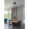 Illuminazione Trio Leuchten Romeo Lampada a sospensione LED Nero, 5-Luci