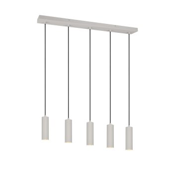 Illuminazione Trio Leuchten Soka Lampada a sospensione Grigio, 5-Luci
