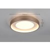 Illuminazione Trio Leuchten Solea Plafoniera LED Marrone, 1-Luce