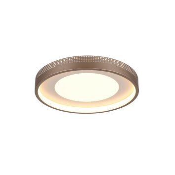 Illuminazione Trio Leuchten Solea Plafoniera LED Marrone, 1-Luce