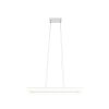 Illuminazione Reality Camino Lampada a sospensione LED Bianco, 1-Luce