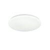 Illuminazione Reality Cetus Plafoniera LED Bianco, 1-Luce, Telecomando, Cambia colore