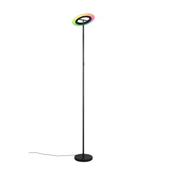Illuminazione Reality Samba Lampada da terra LED Nero, 1-Luce, Telecomando, Cambia colore