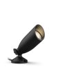 Illuminazione Philips Outdoor Faretto da giardino LED Nero, 1-Luce, Cambia colore