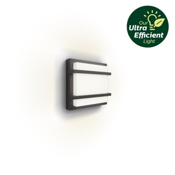 Illuminazione Philips Petronia Lampada da parete per esterno LED Antracite, 1-Luce