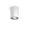 Illuminazione Philips Pillar Plafoniera Bianco, 1-Luce