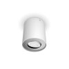 Illuminazione Philips Pillar Plafoniera Bianco, 1-Luce