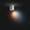 Illuminazione Philips Pillar Plafoniera Bianco, 1-Luce
