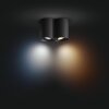 Illuminazione Philips Pillar Plafoniera Nero, 1-Luce
