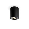 Illuminazione Philips Pillar Plafoniera Nero, 1-Luce