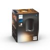 Illuminazione Philips Pillar Plafoniera Nero, 1-Luce