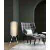 Illuminazione Globo Lighting Denton Lampada da terra Crema, 1-Luce