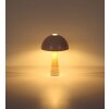 Illuminazione NOWA Lighting Paulin Lampada da tavolo Champagne, Effetto pietra, 1-Luce