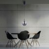 Illuminazione Paul Neuhaus Infinity Lampada a sospensione LED Grigio, 1-Luce, Telecomando
