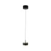 Illuminazione Paul Neuhaus Rings Lampada a sospensione LED Nero, Trasparente, chiaro, 1-Luce, Telecomando