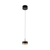 Illuminazione Paul Neuhaus Rings Lampada a sospensione LED Nero, Trasparente, chiaro, 1-Luce, Telecomando