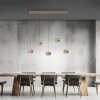 Illuminazione Paul Neuhaus Rings Lampada a sospensione LED Bronzo, Cromo, 5-Luci, Telecomando
