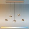 Illuminazione Paul Neuhaus Rings Lampada a sospensione LED Bronzo, Cromo, 5-Luci, Telecomando