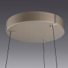 Illuminazione Paul Neuhaus E-Loop Lampada a sospensione LED Bronzo, 2-Luci, Telecomando