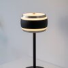 Illuminazione Paul Neuhaus Rings Lampada da tavolo LED Nero, Trasparente, chiaro, 1-Luce